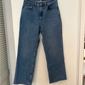 Abercrombie & Fitch high rise 90’s relaxed, size 27, extra short